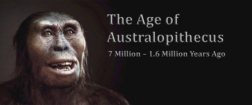 Atlas of Human Evolution